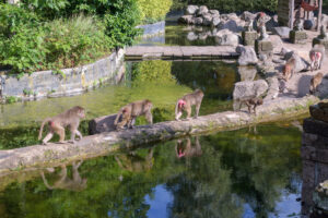 434-2022-09-30 Dierentuin Amersfoort