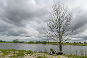 439-2022-05-29 De overkant en Hertog Jan