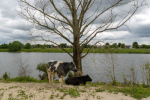 440-2022-05-29 De overkant en Hertog Jan