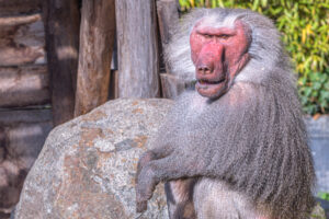 441-2022-09-30 Dierentuin Amersfoort