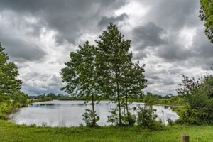 443-2022-05-29 De overkant en Hertog Jan