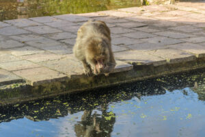443-2022-09-30 Dierentuin Amersfoort