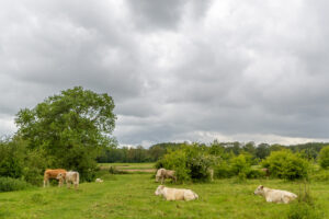 445-2022-05-29 De overkant en Hertog Jan