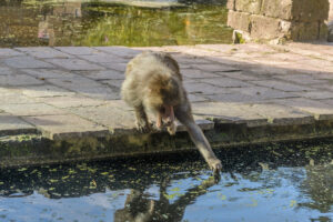 445-2022-09-30 Dierentuin Amersfoort