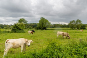 446-2022-05-29 De overkant en Hertog Jan