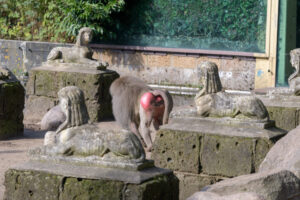 446-2022-09-30 Dierentuin Amersfoort