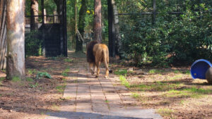 455-2022-09-30 Dierentuin Amersfoort