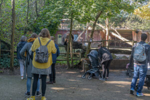 466-2022-09-30 Dierentuin Amersfoort