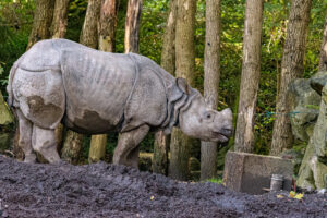 485-2022-09-30 Dierentuin Amersfoort