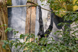 493-2022-09-30 Dierentuin Amersfoort
