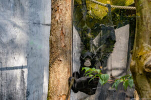 494-2022-09-30 Dierentuin Amersfoort