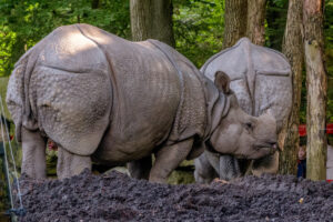 496-2022-09-30 Dierentuin Amersfoort