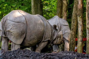 497-2022-09-30 Dierentuin Amersfoort