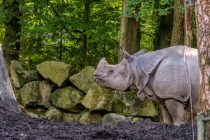 498-2022-09-30 Dierentuin Amersfoort
