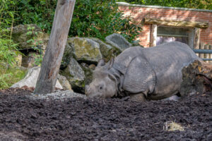 499-2022-09-30 Dierentuin Amersfoort