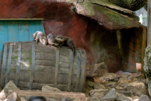 506-2022-09-30 Dierentuin Amersfoort
