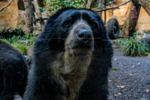 511-2022-09-30 Dierentuin Amersfoort