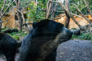 512-2022-09-30 Dierentuin Amersfoort