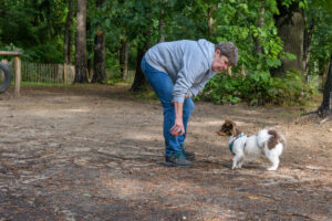 575-2022-10-02 Vriend!s renbaan