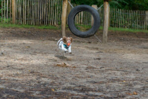 578-2022-10-02 Vriend!s renbaan