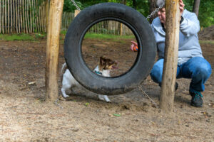 596-2022-10-02 Vriend!s renbaan