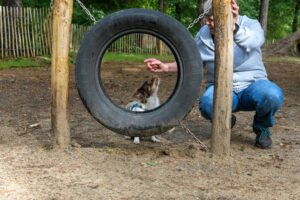597-2022-10-02 Vriend!s renbaan