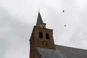 011-2021-06-19 t Woudt
