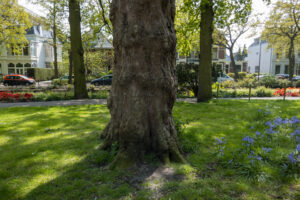 012-2021-05-14 Oud Rijswijk