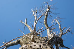 018-2021-02-28 Project Loosduinen dag 7