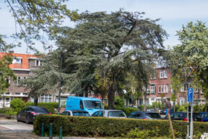 021-2021-05-14 Oud Rijswijk