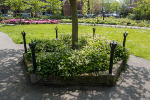 030-2021-05-14 Oud Rijswijk