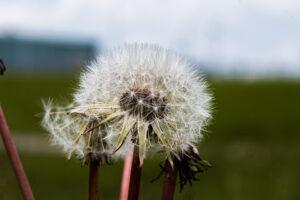 033-2021-05-13 Industrie