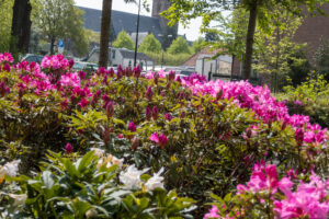 033-2021-05-14 Oud Rijswijk