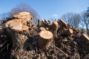 036-2021-02-28 Project Loosduinen dag 7