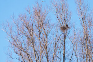 045-2021-02-28 Project Loosduinen dag 7