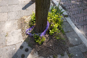 065-2021-05-14 Oud Rijswijk