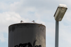 148-2021-05-13 Industrie