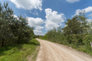 349-2021-05-29 Maasduinen