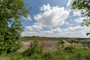 352-2021-05-29 Maasduinen