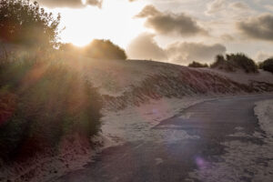 001-2021-08-26 Zononder op het strand