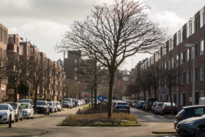 002-2020-03-03 Houtwijk en Nieuw Waldeck