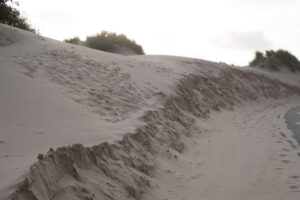 002-2021-08-26 Zononder op het strand