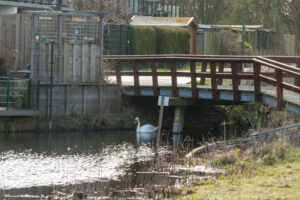 003-2020-03-03 Houtwijk en Nieuw Waldeck