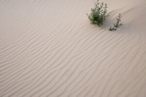 004-2021-08-26 Zononder op het strand
