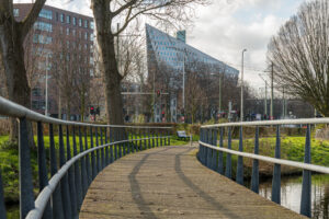 005-2020-02-06 Zuiderpark