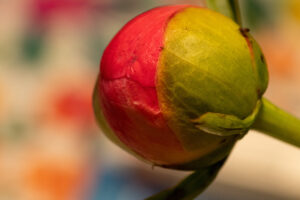 005-2020-05-23 Macro