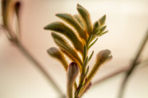 006-2020-05-23 Macro