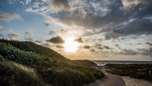 009-2021-08-26 Zononder op het strand