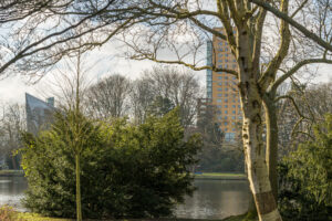 010-2020-02-06 Zuiderpark