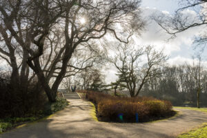 011-2020-02-06 Zuiderpark